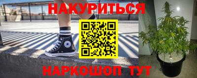 молекула духа Заводоуковск