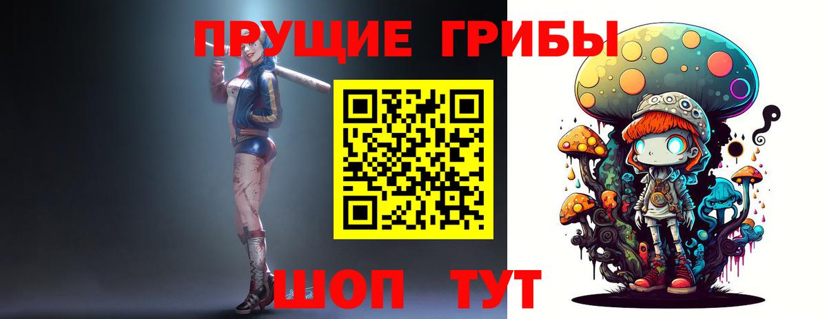 как найти закладки  Галлюциногенные грибы мухоморы  Вход с VPN  Карпинск  Псилоцибиновые грибы GOLDEN TEACHER 